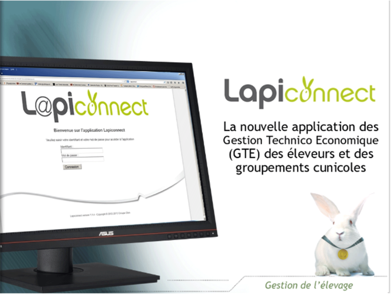 Lapiconnect