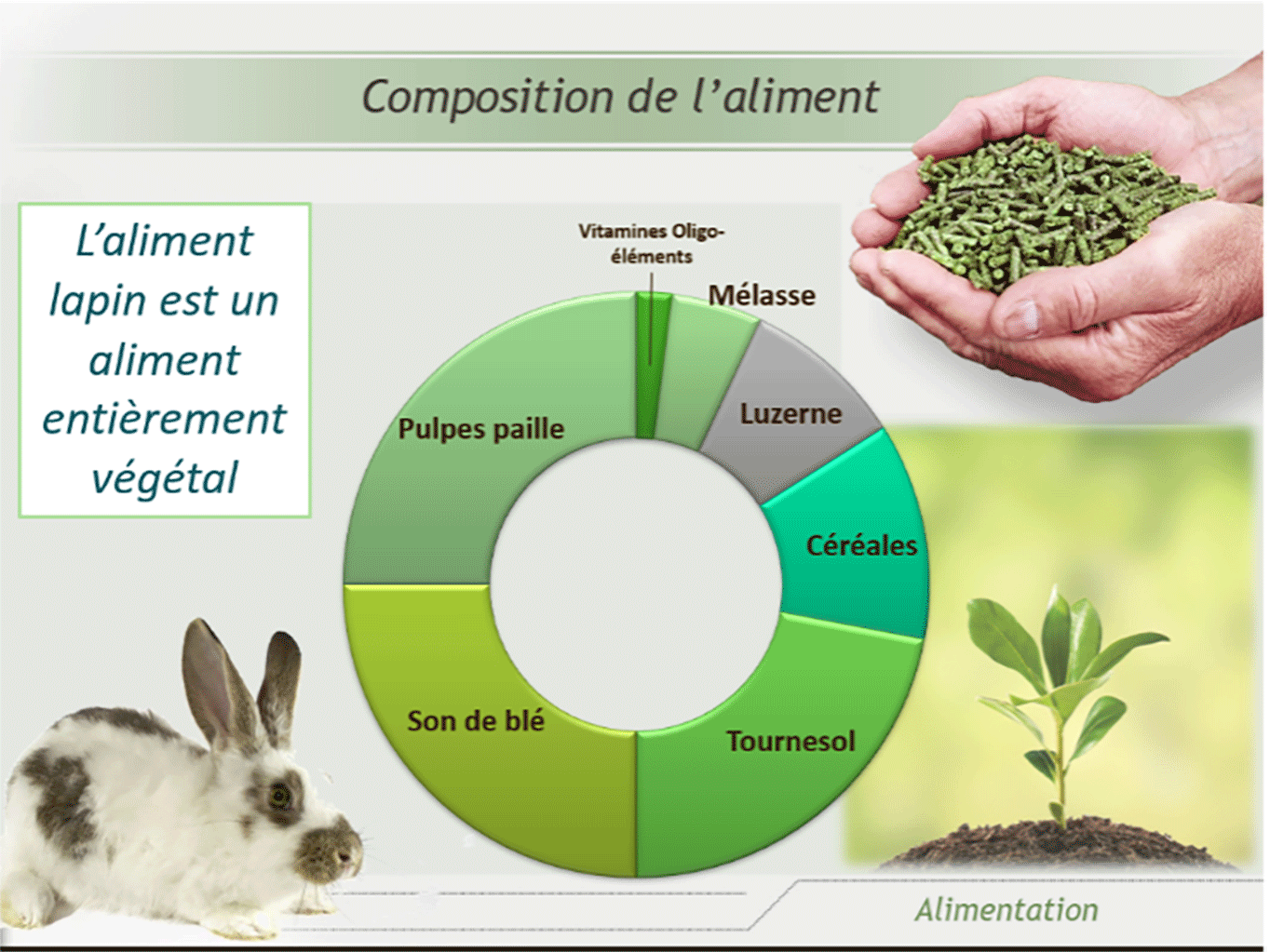 Schéma-composition-aliment